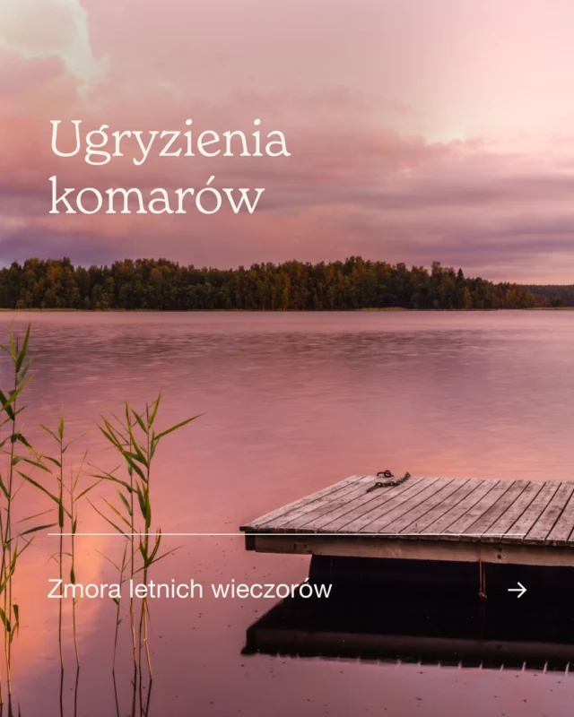 🦟 Typowa reakcja na ugryzienie komara
Po ugryzieniu komara w przeciągu 20 minut rozwija się zaczerwienienie i obrzęk. Następnie pojawia się swędząca, stwardniała grudka, która zazwyczaj znika po 7-10 dniach.
‌
🔴 Zespół Skeeter – kiedy reakcja jest bardziej nasilona
Najczęstszą alergiczną reakcją na ugryzienie komara jest duża reakcja miejscowa, znana również jako zespół Skeeter. Objawia się ona nasilonym obrzękiem, który może mieć średnicę ponad 10 cm. Reakcja ta narasta w ciągu 12 godzin i ustępuje zwykle po 3-10 dniach. Czasami towarzyszą jej zmęczenie i stan podgorączkowy.
‌
❗Duży obrzęk w okolicy twarzy może ograniczać widoczność oraz utrudniać jedzenie i picie, zwłaszcza u dzieci.
‌
👶 Dlaczego ukąszenia komarów są bardziej dotkliwe dla dzieci?
Z biegiem czasu regularne ugryzienia komarów sprawiają, że organizm człowieka staje się na nie mniej wrażliwy. Małe dzieci, które nie miały jeszcze okazji nabyć naturalnej tolerancji, częściej doświadczają dużej reakcji miejscowej.
‌
🔍 Warto pamiętać, że drapanie ugryzienia może prowadzić do wtórnego zakażenia bakteryjnego. Duże reakcje miejscowe u dzieci zazwyczaj zanikają w ciągu kilku lat, natomiast u dorosłych mogą być związane z zakażeniem wirusem Epsteina-Barr (EBV) i zaburzeniami immunologicznymi.
‌
➡️ W porównaniu do owadów błonkoskrzydłych (pszczoła, osa, szerszeń), ugryzienia komarów bardzo rzadko powodują reakcje ogólnoustrojowe. Możliwe jest wystąpienie pokrzywki i anafilaksji.
‌
💊 Jak sobie radzić z objawami?
Profilaktyka: Unikanie komarów przez odpowiednie planowanie aktywności, stosowanie repelentów oraz doustnych leków antyhistaminowych.
Zmniejszenie obrzęku: Na zwykłe ugryzienia pomocny może być żel z dimentydenem. W dużych reakcjach miejscowych stosuje się krem z hydrokortyzonem.
Obrzęki utrudniające funkcjonowanie: W niektórych przypadkach wskazana jest krótkotrwała terapia doustnymi glikokortykosteroidami.
‌
🌅 Spokojnych letnich wieczorów!

Autorka: lek. Magdalena Fronczek
Konsultacja: prof. dr hab. n. med. Wojciech Szczeklik