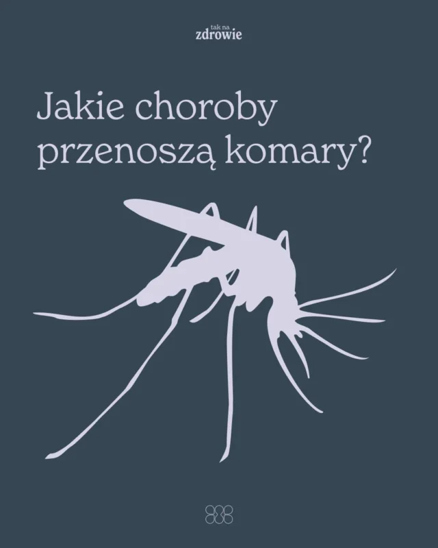 🦟 Czy wiedzieliście, że to komarzyce gryzą ludzi? Potrzebują naszej krwi, aby zapewnić prawidłowy rozwój jajeczek i dać początek nowemu pokoleniu komarów. Jednak przy okazji mogą przenosić groźne choroby. Warto się z nimi zapoznać przed wyjazdem do egzotycznych krajów.
➡️ Denga
To wirusowa choroba charakteryzująca się gorączką, której towarzyszą bóle mięśni, stawów, nudności i wymioty, ból oczu oraz wysypka. Niepokojącym objawem są krwawienia. Do krytycznej fazy choroby dochodzi najczęściej podczas kolejnego zakażenia wirusem, co może prowadzić do krwawień wewnętrznych, wstrząsu i śmierci. Leczenie jest wyłącznie objawowe.
➡️ Gorączka Zachodniego Nilu
Większość zakażeń przebiega bezobjawowo, ale u 1/5 osób pojawiają się objawy przypominające inne infekcje wirusowe. W rzadkich przypadkach (około 1 na 150 zakażonych) choroba może przebiegać pod postacią zapalenia opon mózgowych lub zapalenia mózgu z osłabieniem mięśni i paraliżem. Nawet po wyzdrowieniu, niektórzy pacjenci doświadczają długotrwałych objawów, takich jak zmęczenie, problemy z pamięcią czy równowagą.
➡️ Wirus Zika
Infekcja wirusem Zika przebiega zazwyczaj łagodnie. Objawy, jeśli się pojawią, obejmują niewysoką gorączkę, swędzącą wysypkę, bóle stawów (szczególnie rąk i stóp) oraz zapalenie spojówek. Wirus Zika jest szczególnie niebezpieczny dla kobiet w ciąży, ponieważ może powodować poważne wady wrodzone u noworodków, takie jak mikrocefalia. Może przenosić się także drogą płciową.
➡️ Malaria
Malaria jest wywoływana przez pasożyty z rodzaju Plasmodium. Objawy malarii to m.in. gorączka, dreszcze, bóle głowy, mięśni i stawów, nudności, wymioty oraz biegunka. Charakterystyczne dla malarii są napady gorączki związane z pękaniem zainfekowanych czerwonych krwinek, które mogą występować regularnie w późniejszym etapie choroby. Malaria może prowadzić do anemii, niewydolności nerek, drgawek i śpiączki. Leczenie malarii zależy od gatunku Plasmodium i może obejmować różne leki przeciwmalaryczne.
🔍 Obecnie komary występujące w Polsce nie przenoszą chorób tropikalnych. O reakcjach na ugryzienia przeczytasz w naszym poprzednim wpisie.
Bezpiecznych i zdrowych wakacji! 🏖️🌴